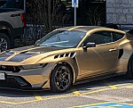 Ford Mustang GTD v&nbsp;královském stylu: Šéf Multimaticu ukázal výjimečně zlatý kus